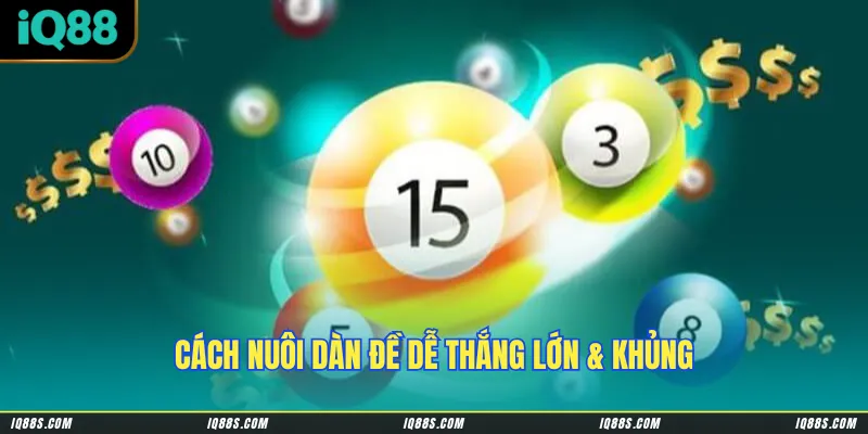 Cách nuôi dàn đề dễ thắng lớn & khủng
