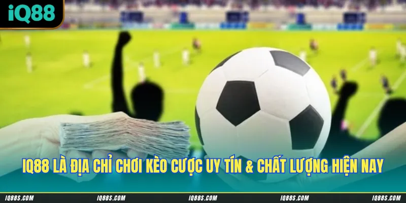 IQ88 là địa chỉ chơi kèo cược uy tín & chất lượng hiện nay