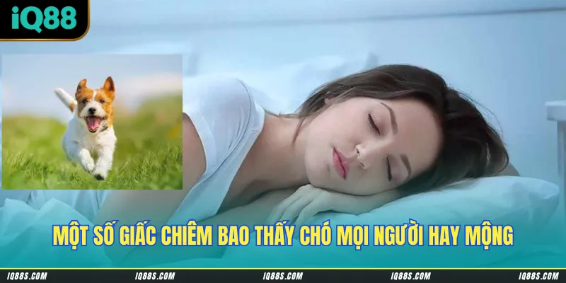 Một số giấc chiêm bao thấy chó mọi người hay mộng