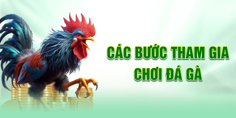 Cac-buoc-tham-gia-choi-da-ga