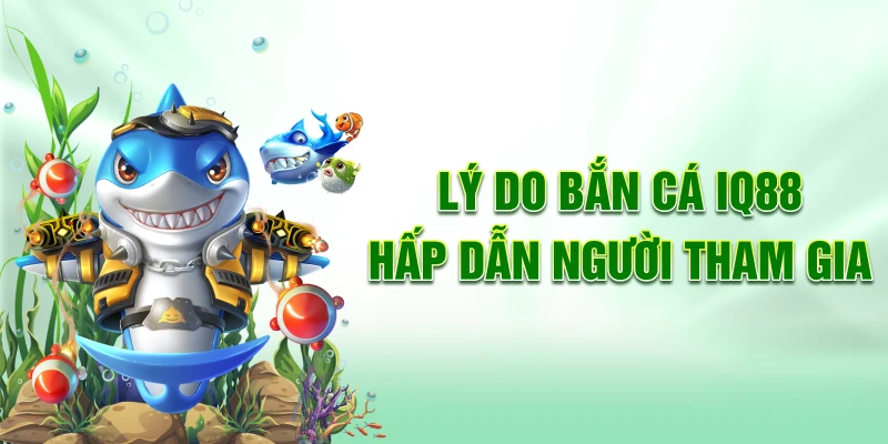 Ly-do-ban-ca-iq88-hap-dan-nguoi-tham-gia
