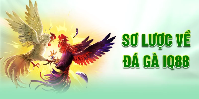 So-luoc-ve-da-ga-iq88