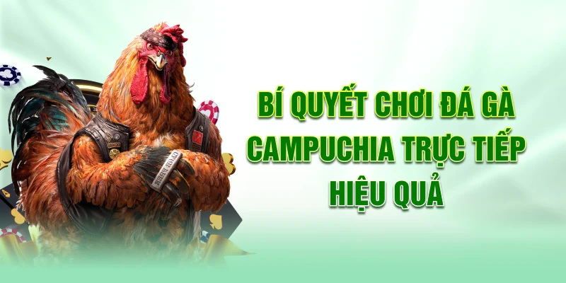 Bí quyết chơi đá gà Campuchia trực tiếp hiệu quả