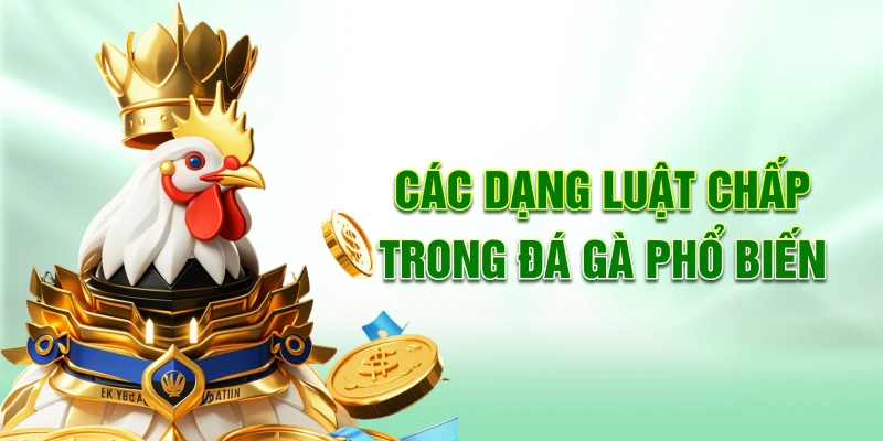 Các dạng luật chấp trong đá gà phổ biến
