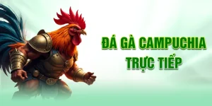 đá gà Campuchia trực tiếp
