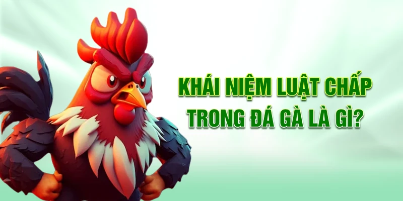 Khái niệm luật chấp trong đá gà là gì?