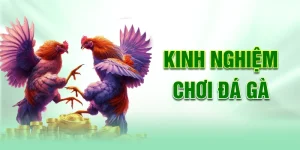 Kinh nghiệm chơi đá gà