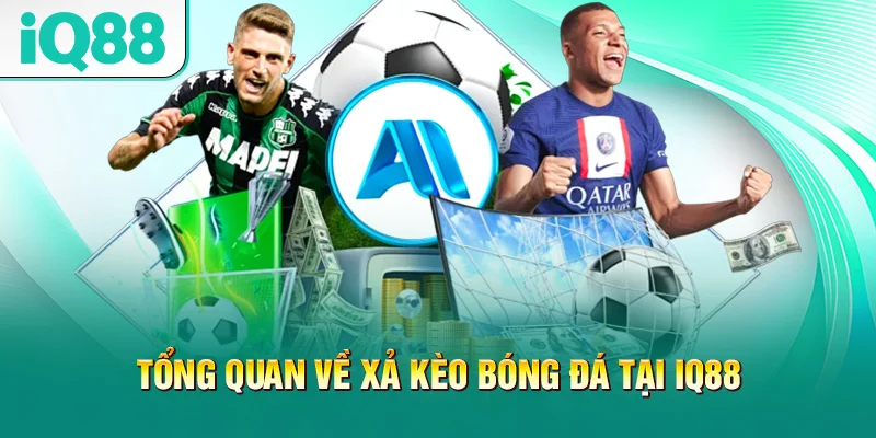 tong-quan-ve-xa-keo-bong-da-tai-iq88